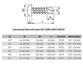 Technisch ISO 15481 DIN 7504 M Linsenkopf_TX.jpg